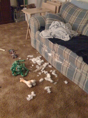 A plaid couch circa 2008 with a hole at the bottom where the stuffing all over the floor was pulled from